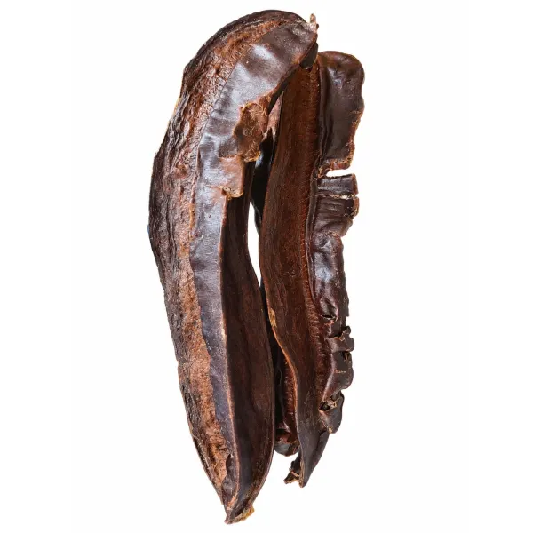 Aidan Fruit